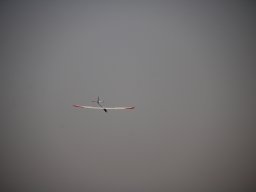 fliegen0903 57